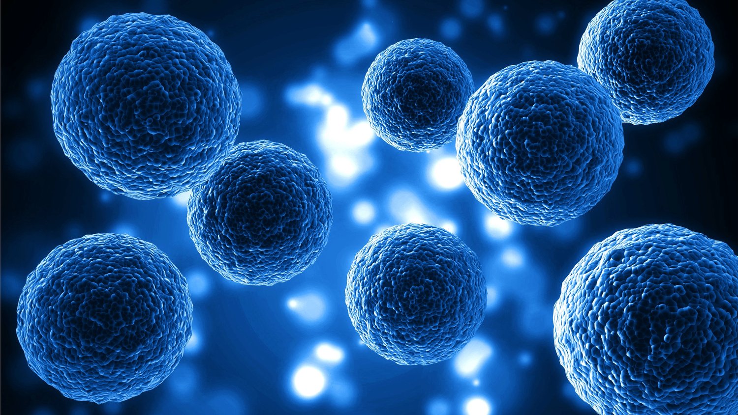 Human Stem Cells Background